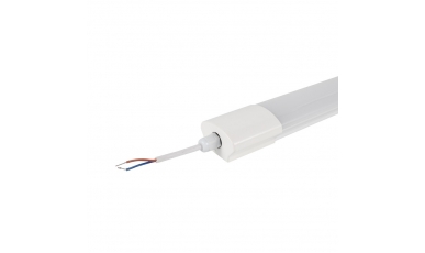 Tri-proof Lamp TP3